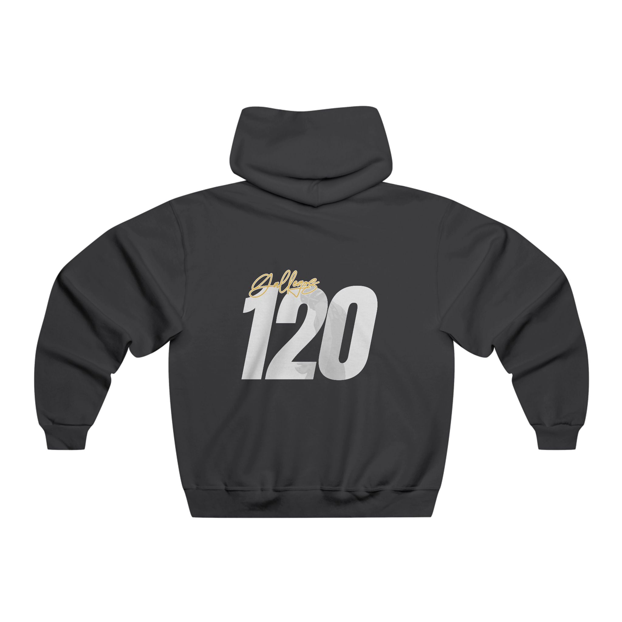 Kingston Gallegos Vintage Hoodie