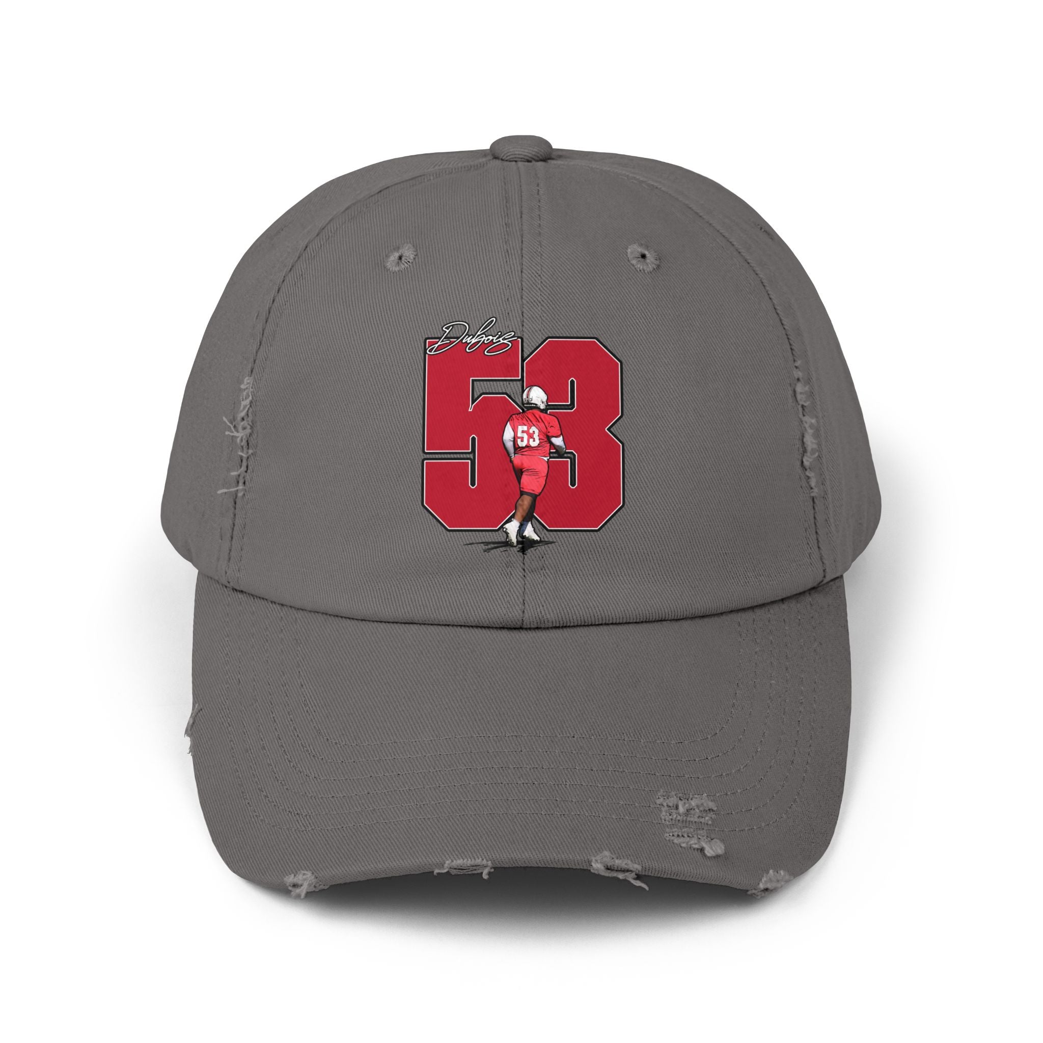 Diallo Dubois Distressed Dad Cap