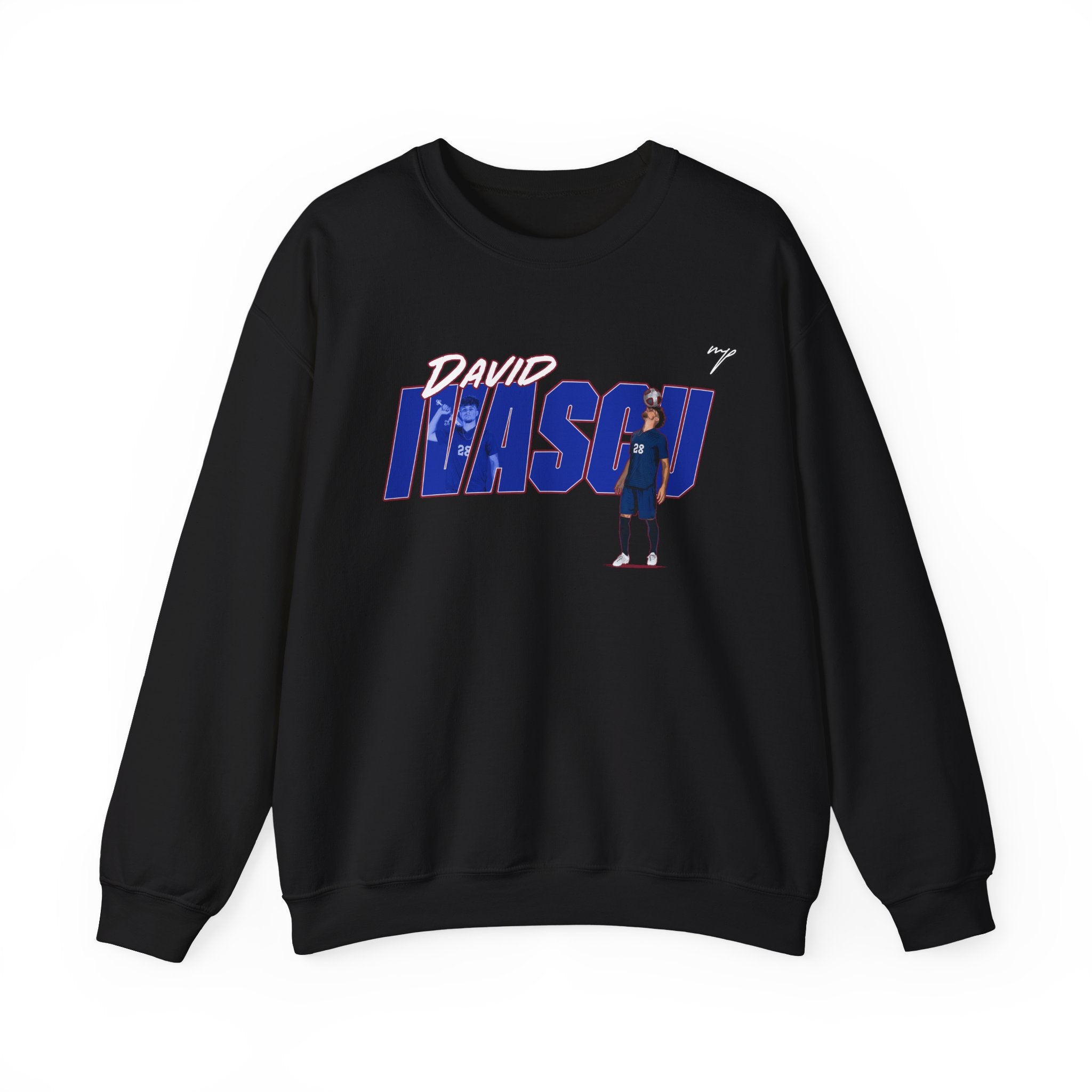 David Ivascu Crewneck