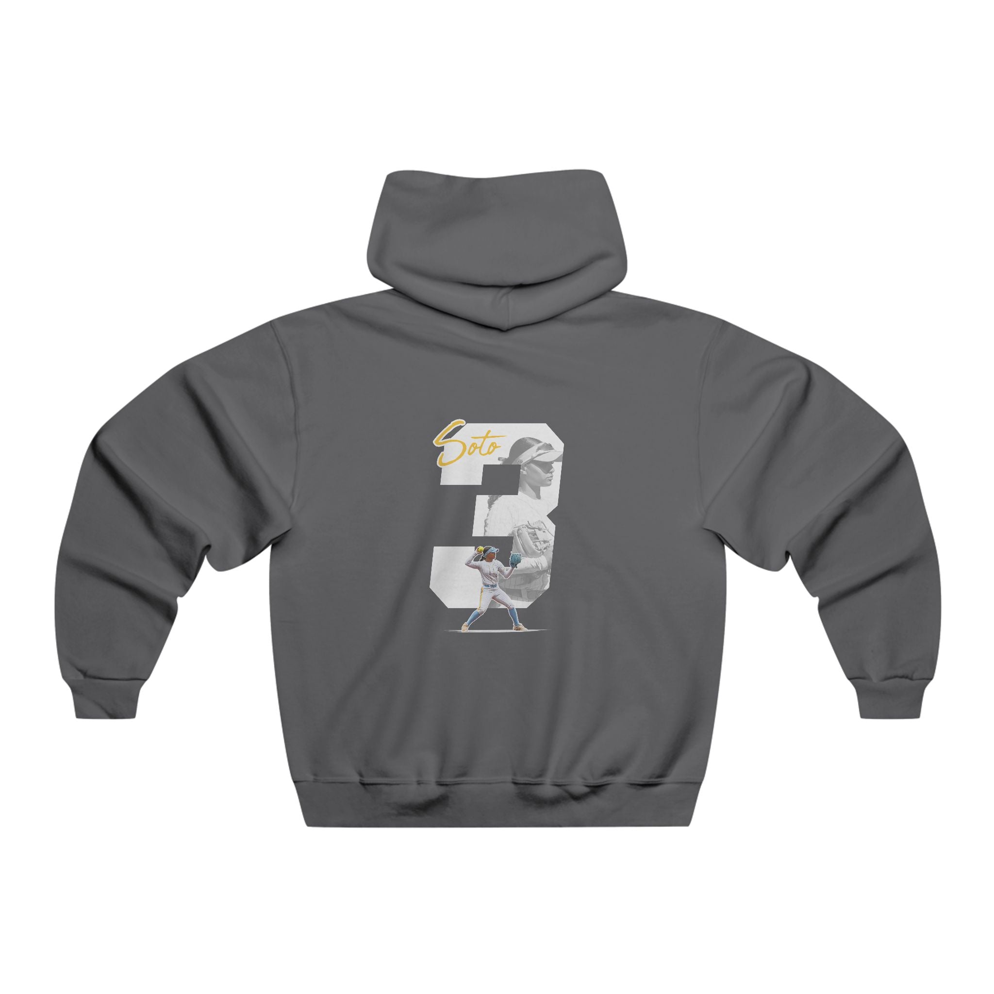 Anais Soto Vintage Hoodie