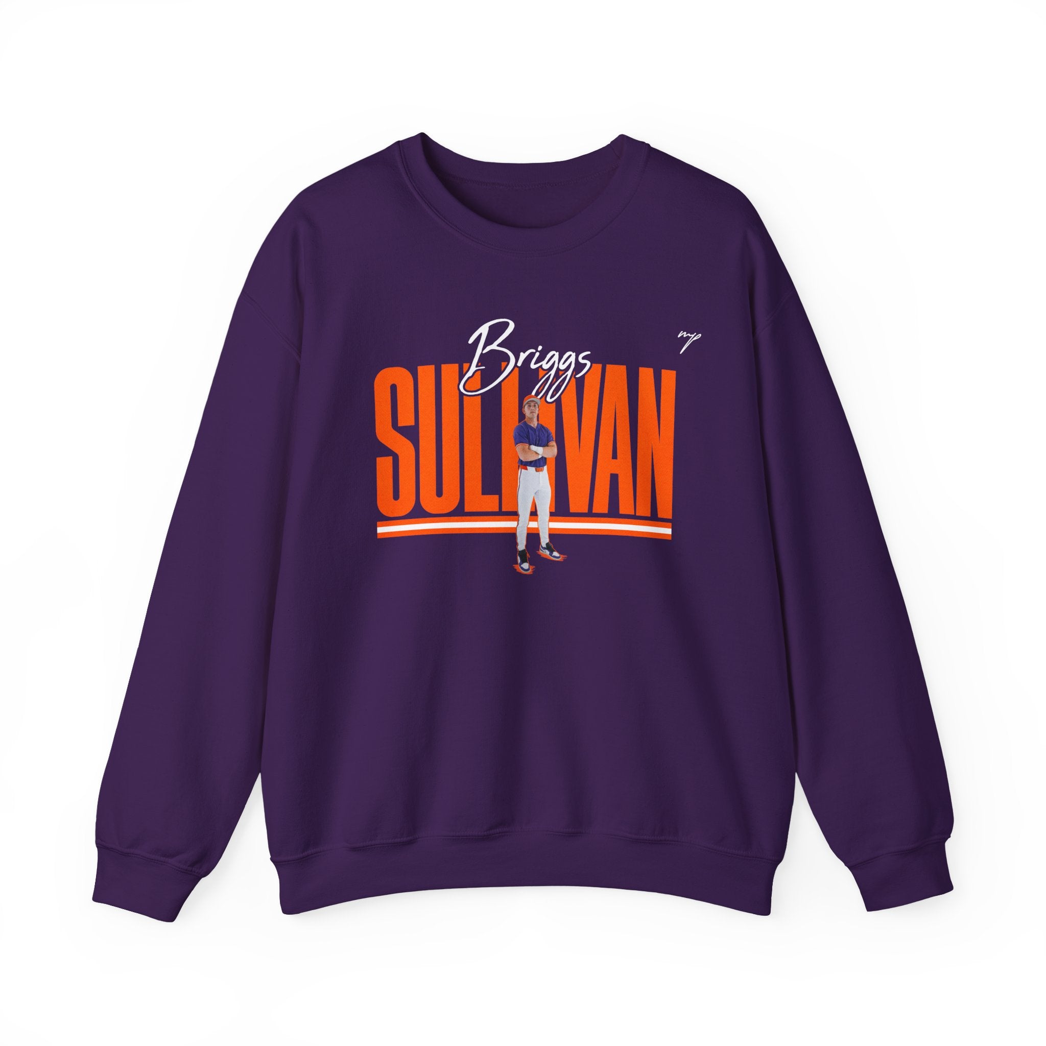 Briggs Sullivan Crewneck
