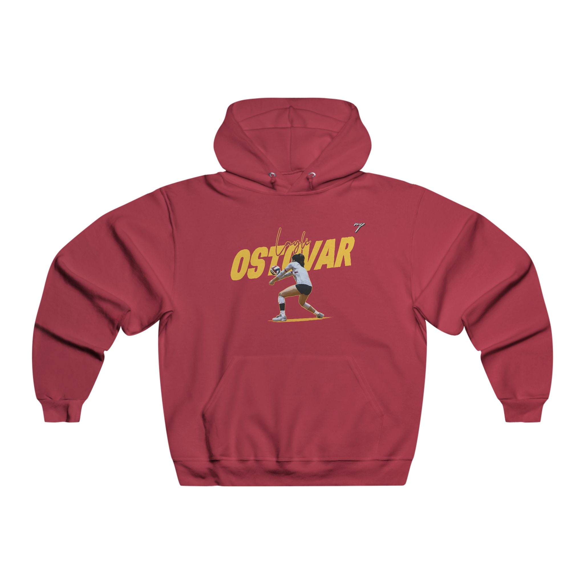 Layli Ostovar Vintage Hoodie