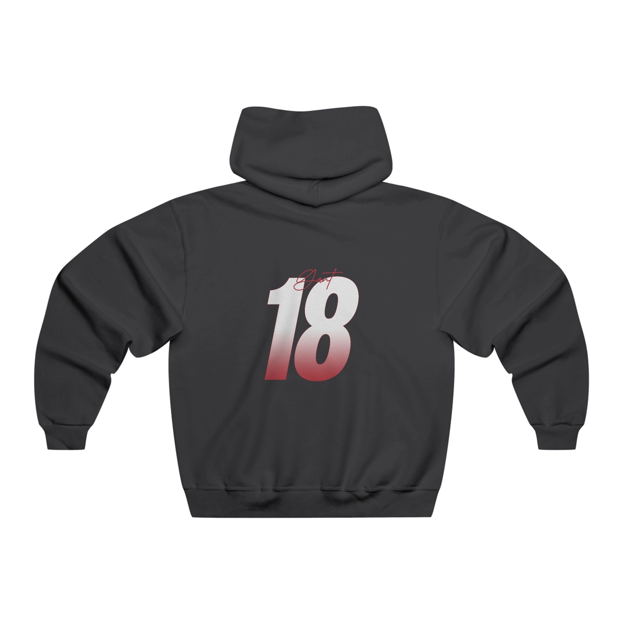 Camryn Gant Vintage Hoodie