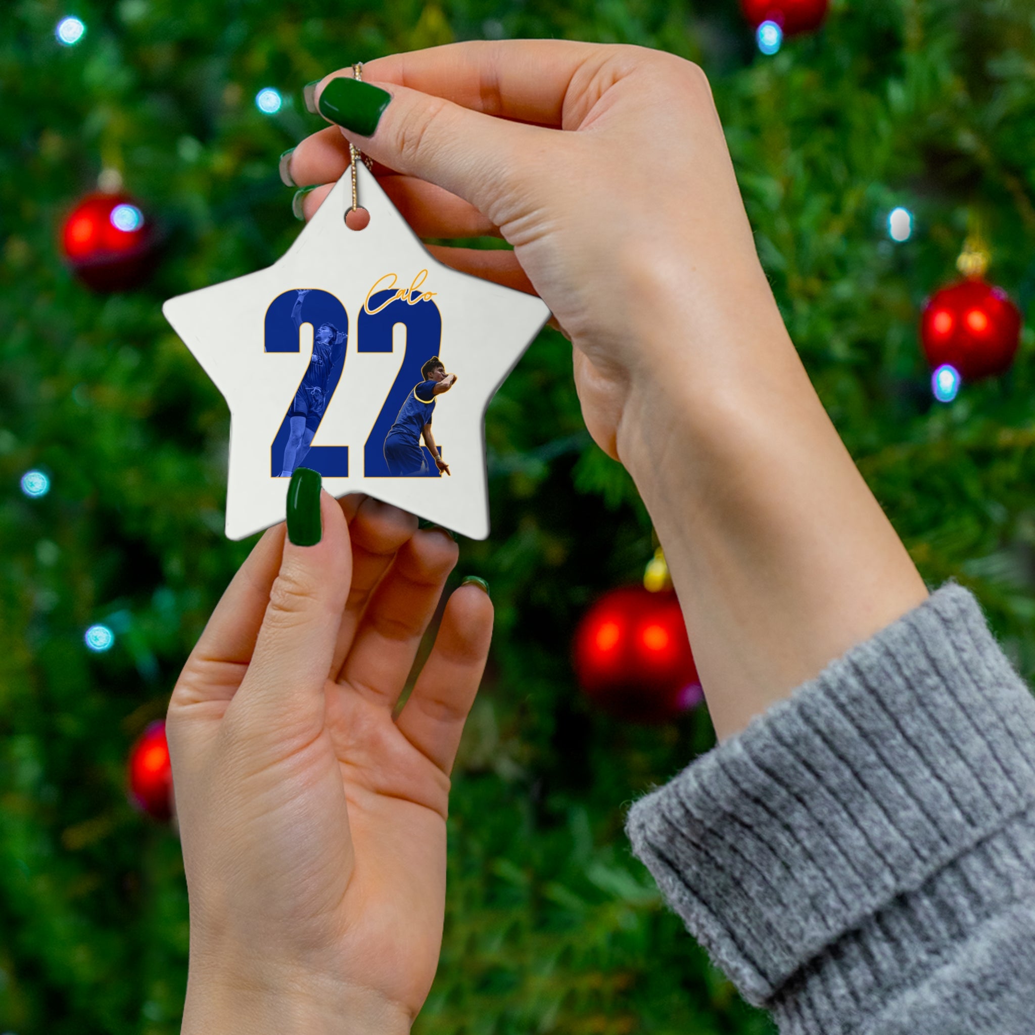 Ryan Calo Ceramic Ornament