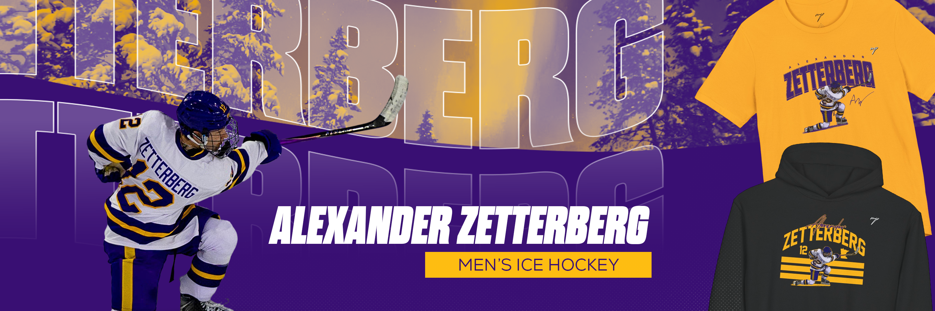 Alexander Zetterberg