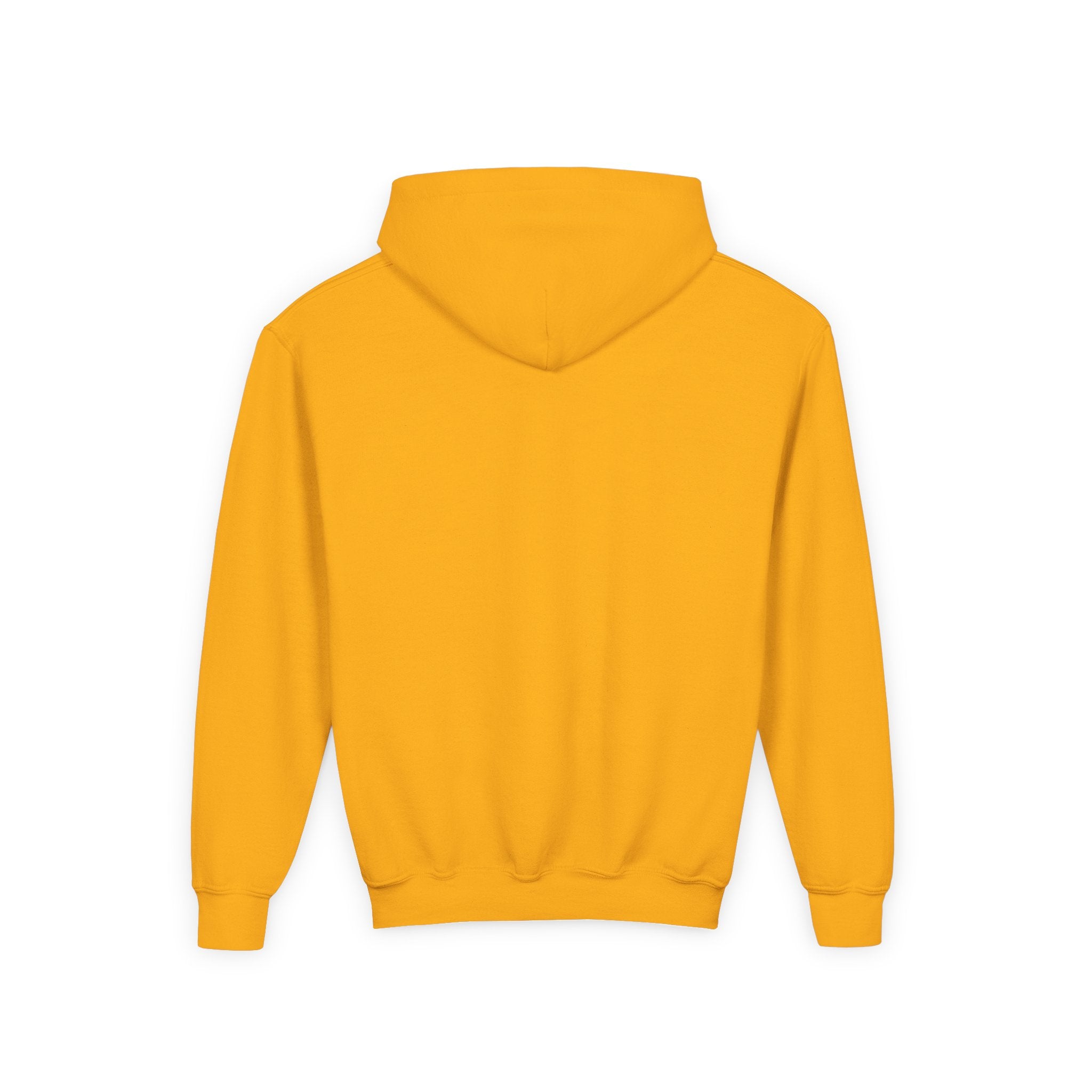Kai LaBarrie YOUTH Hoodie