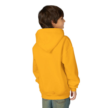 Kai LaBarrie YOUTH Hoodie
