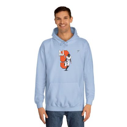 Hoodie Correct Prices