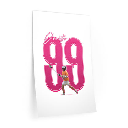 Brantlee Chronister Poster