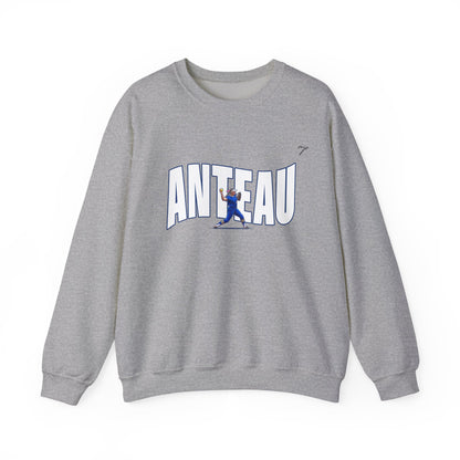 Brynn Anteau Crewneck
