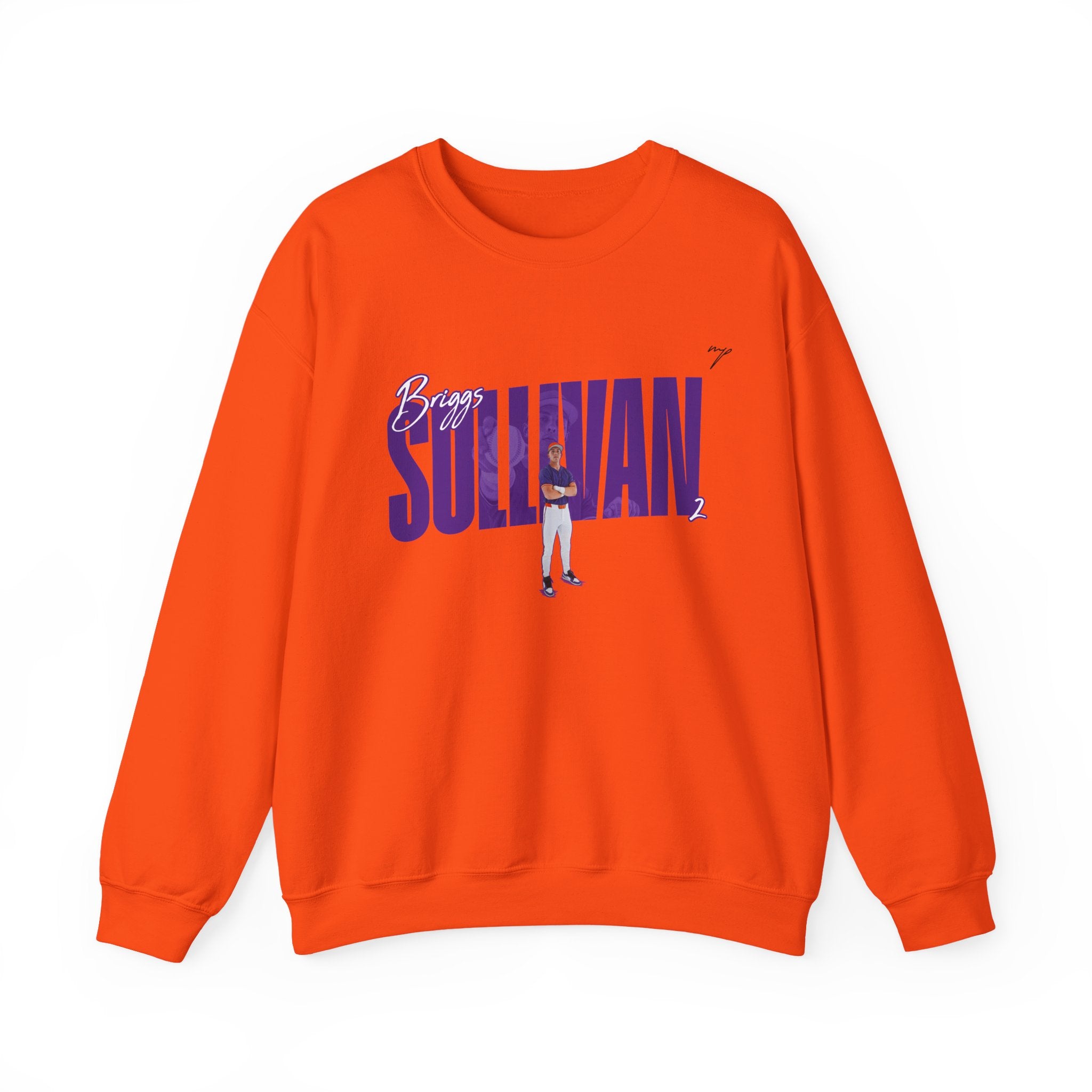 Briggs Sullivan Crewneck