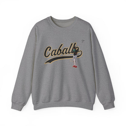 David Hinojosa Crewneck