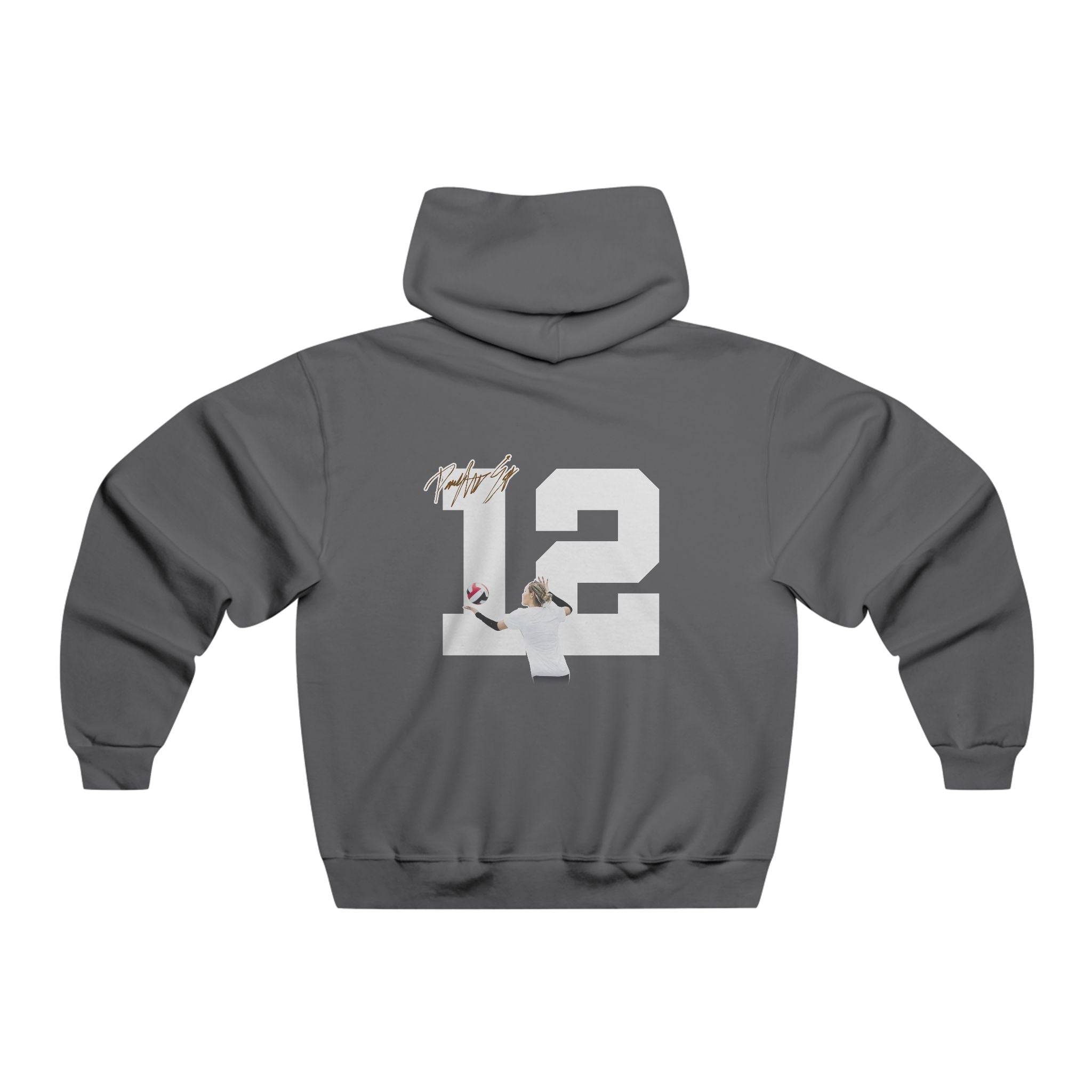 Paighton Erb Vintage Hoodie