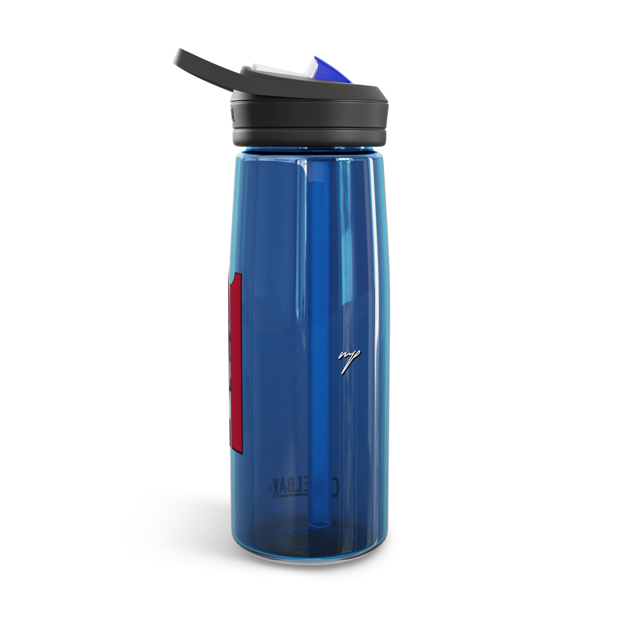 Bashu Delco II CamelBak Water Bottle