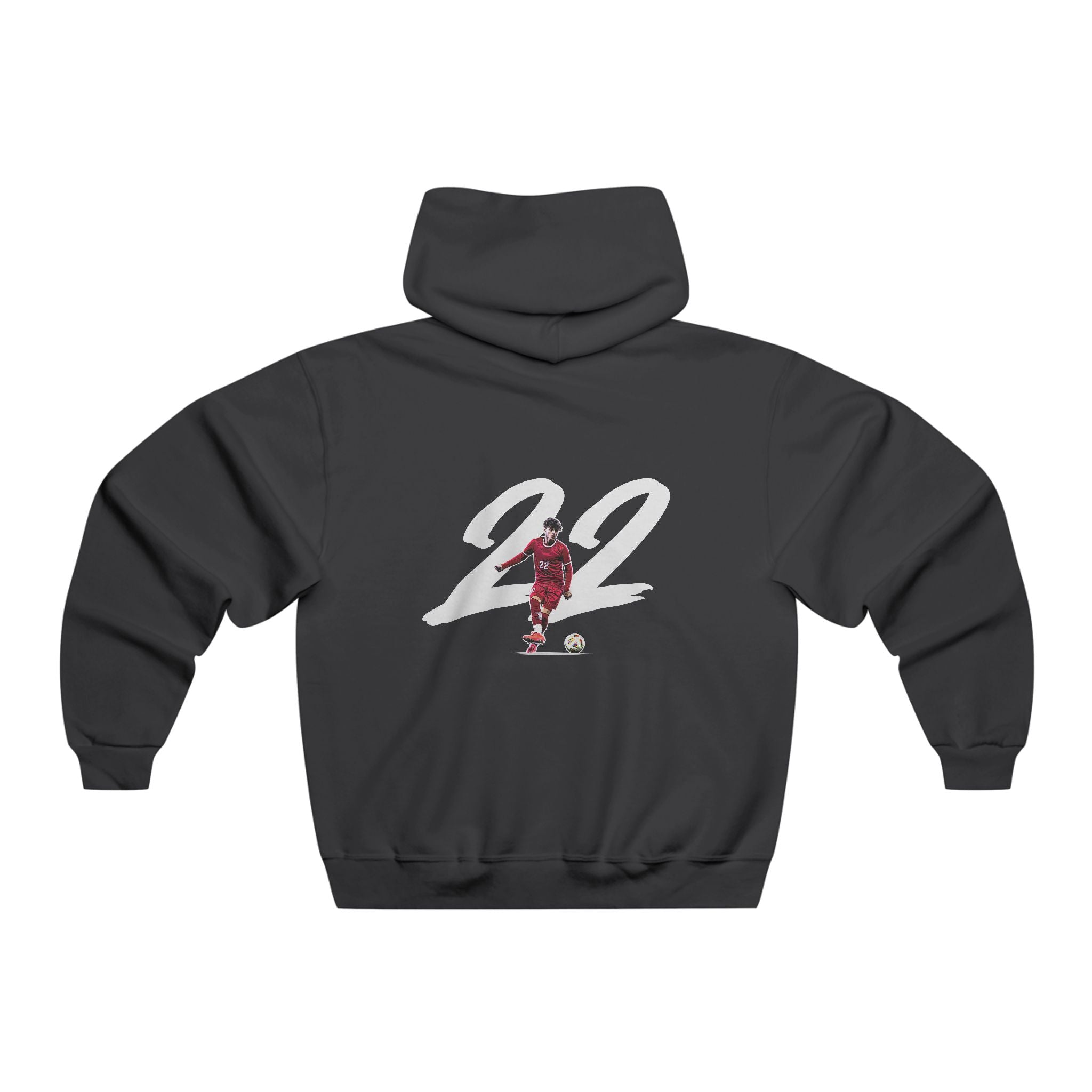Francesco DiPonzio Vintage Hoodie