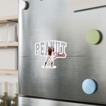 Reagan Schmitz Vinyl Decals