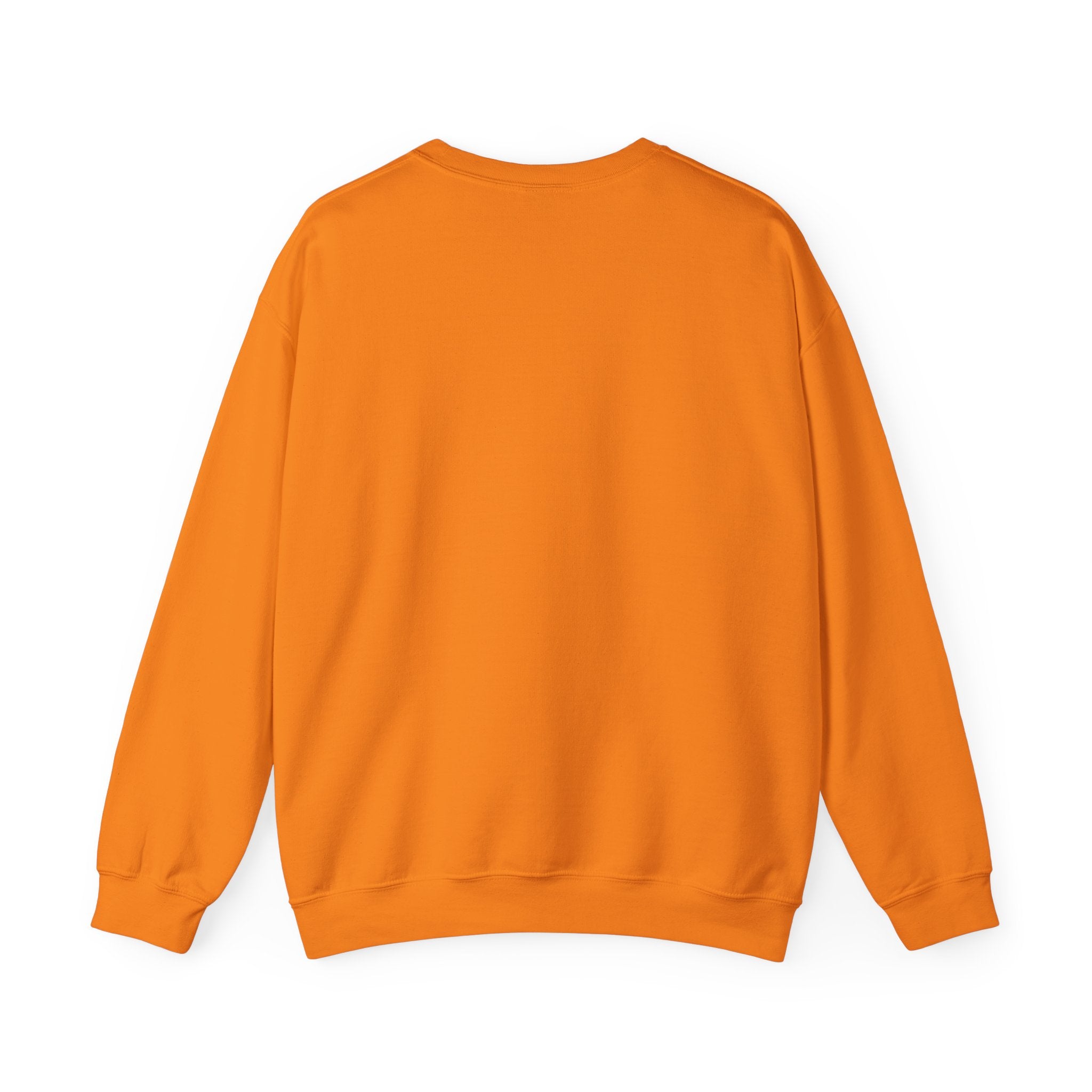 Vols Express Crewneck