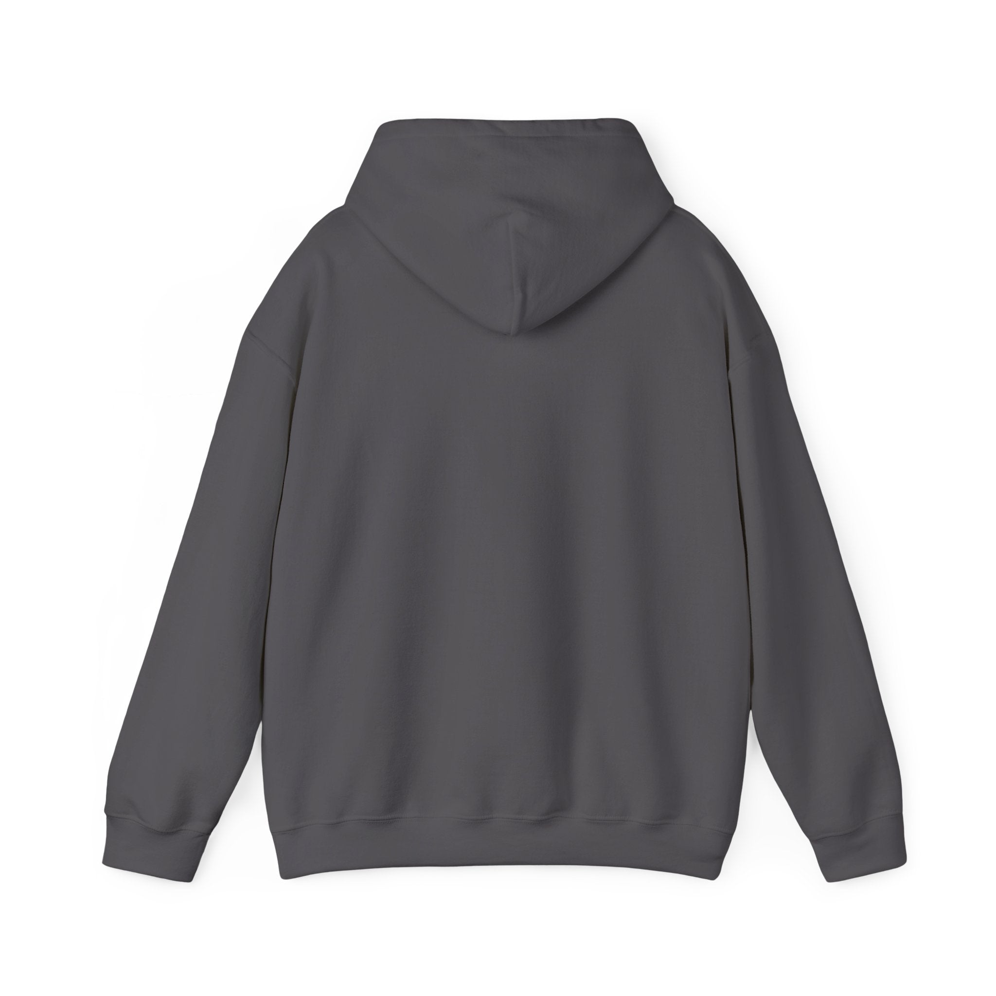 Alex Nitache Hoodie