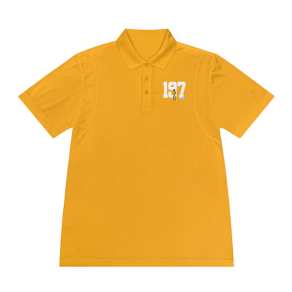 Kage Mir Polo