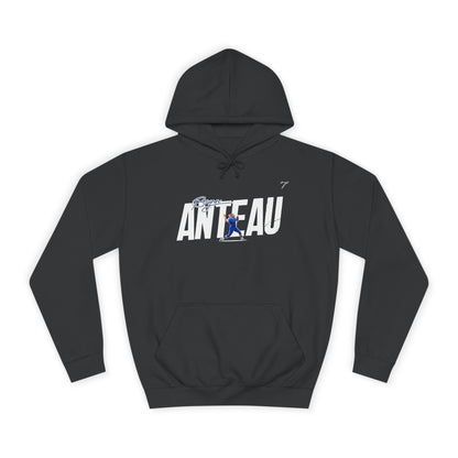 Brynn Anteau Hoodie
