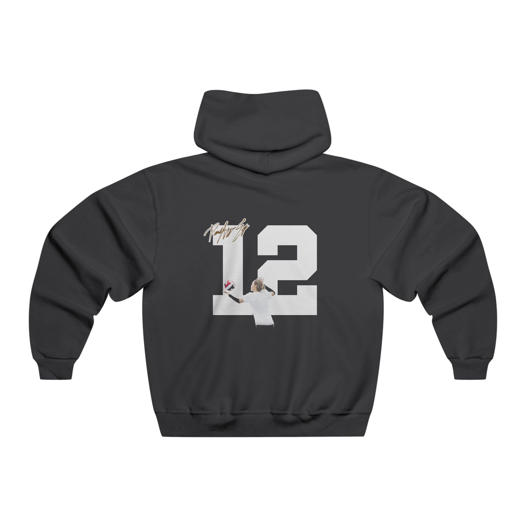 Paighton Erb Vintage Hoodie