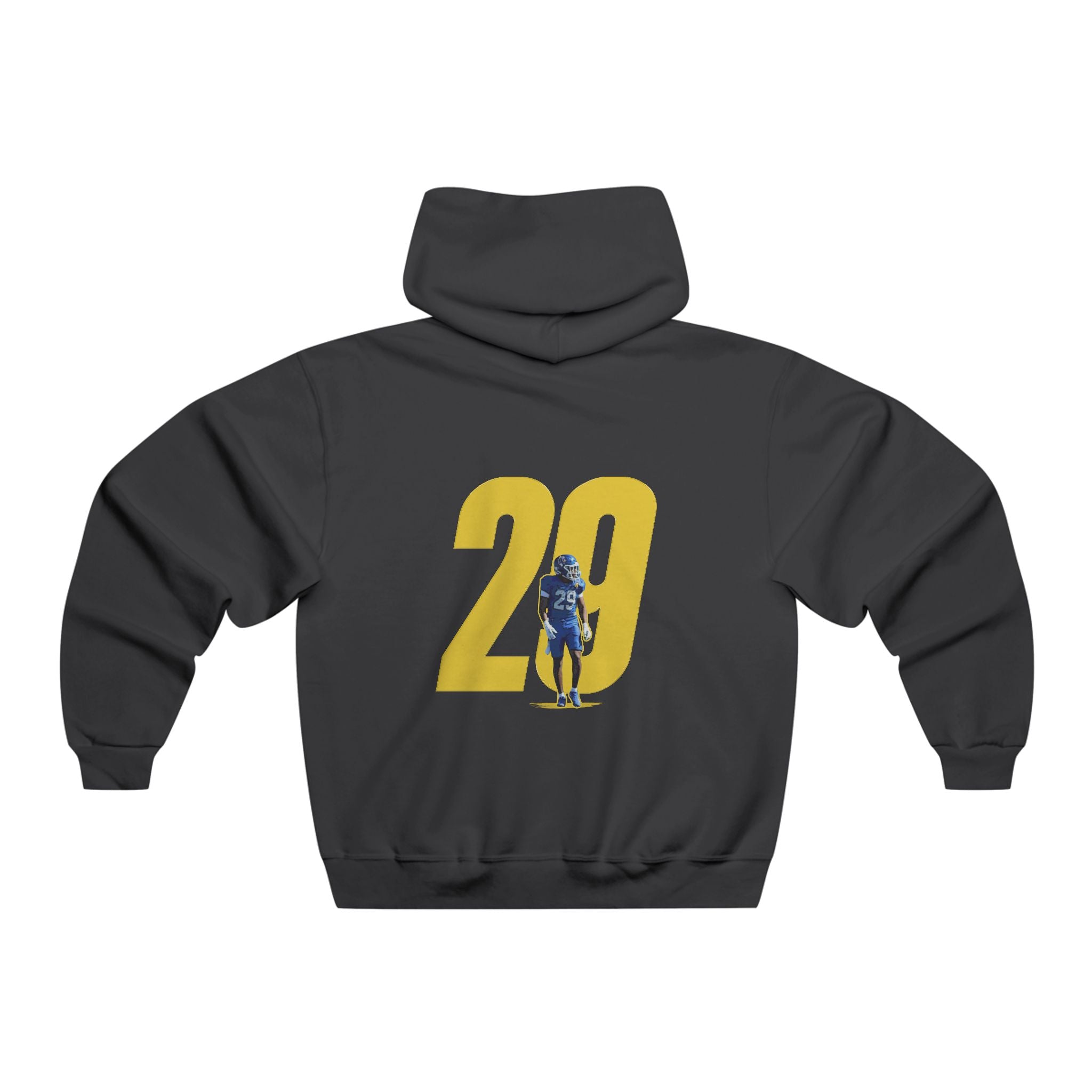 Carter Wells Vintage Hoodie