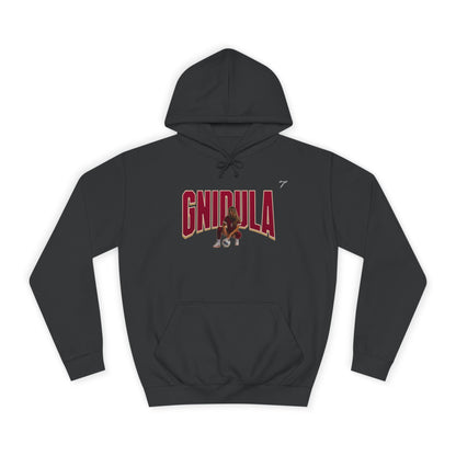 Annie Gnidula Hoodie