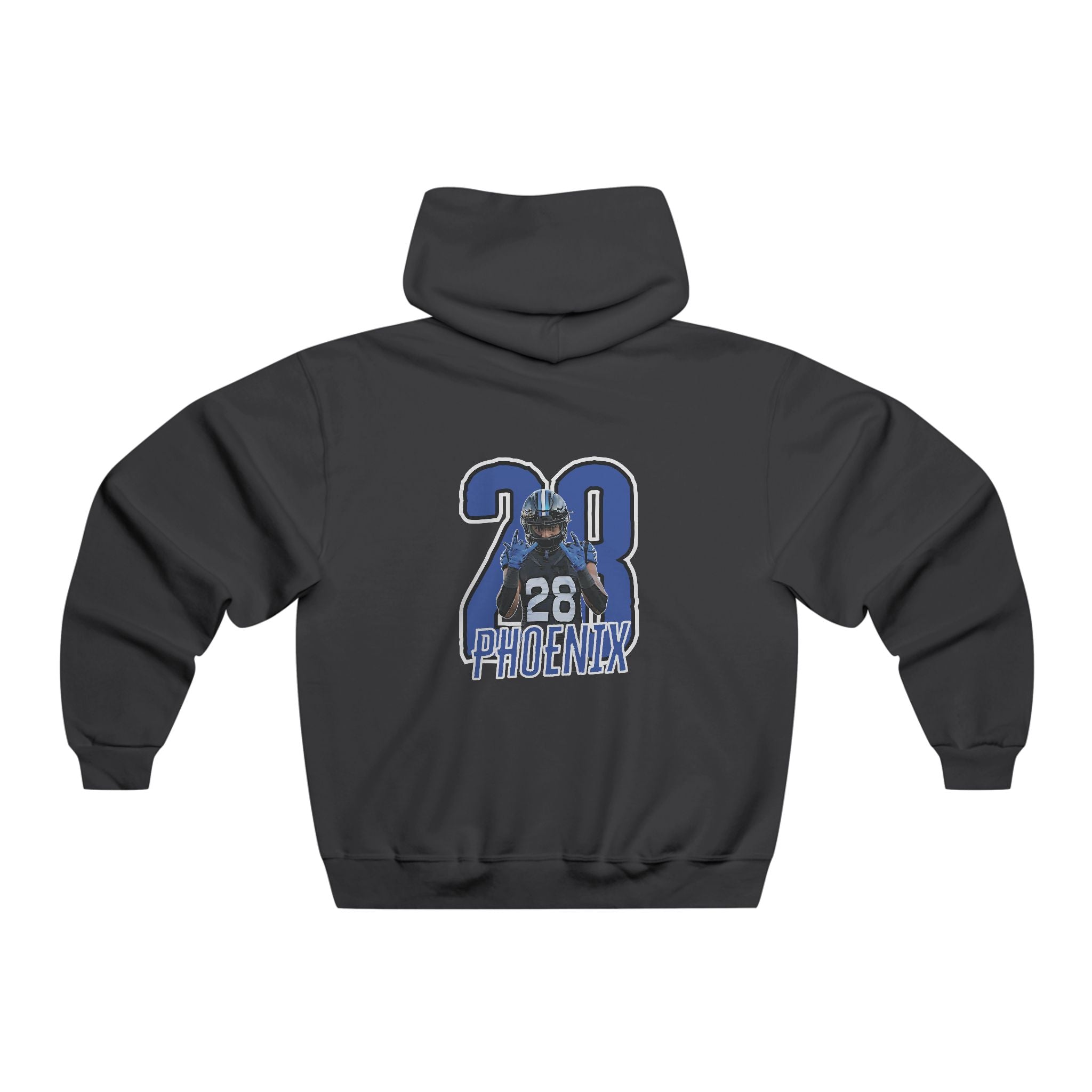 Phoenix Moss Vintage Hoodie